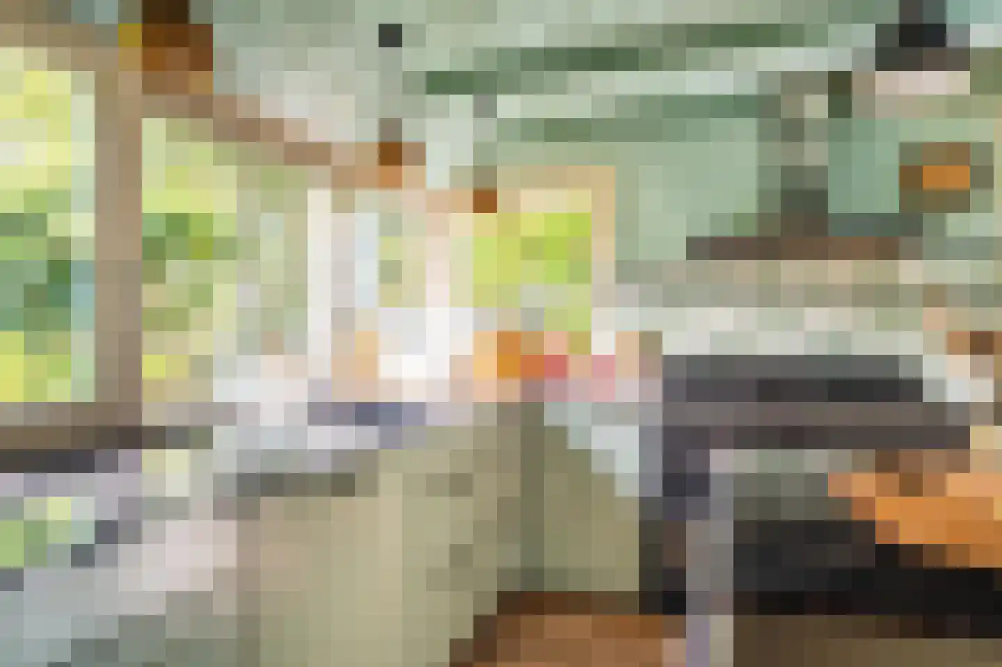 Weenderstraat 42 Vlagtwedde thumbnail 64