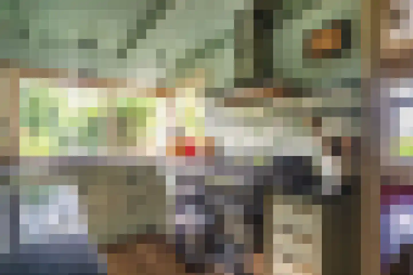 Weenderstraat 42 Vlagtwedde thumbnail 67