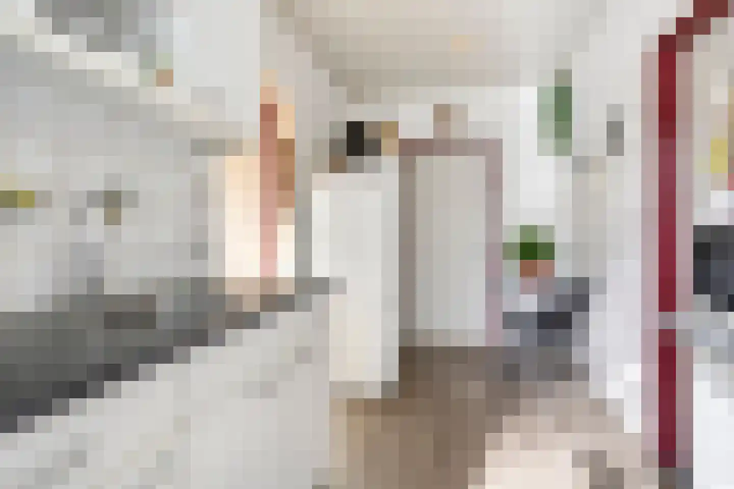Weenderstraat 68 Vlagtwedde thumbnail 13