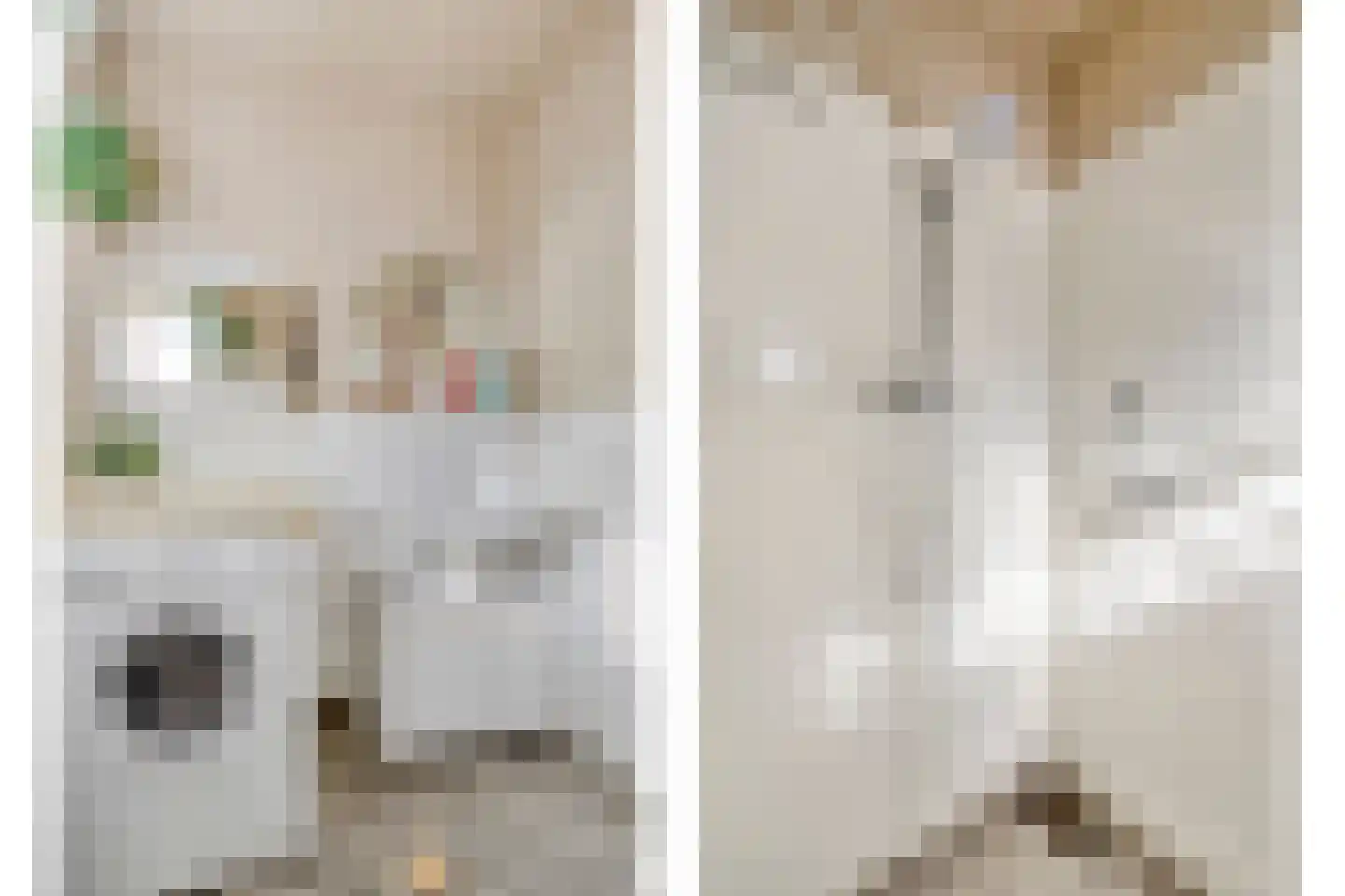 Weenderstraat 68 Vlagtwedde thumbnail 18