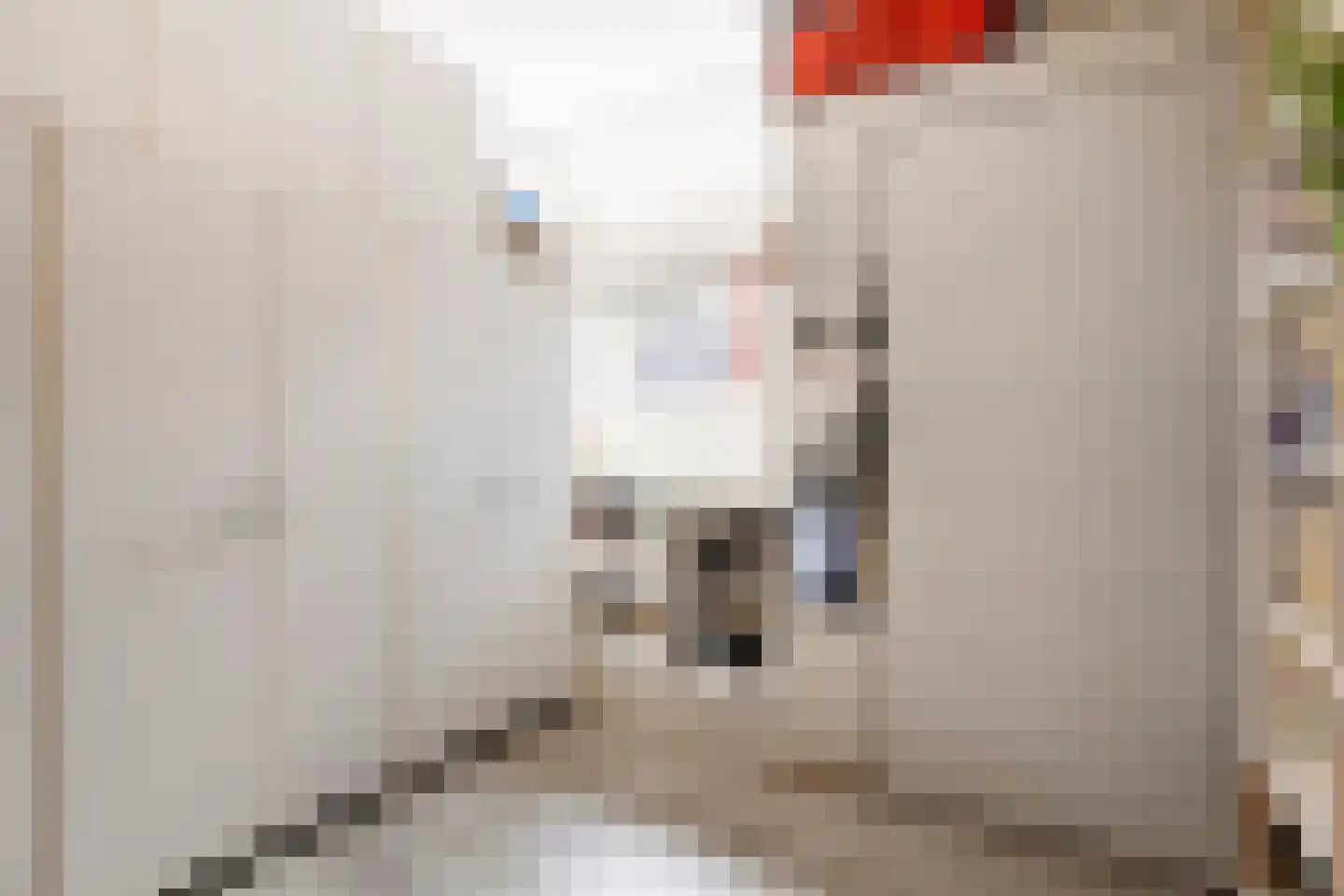 Weenderstraat 68 Vlagtwedde thumbnail 21