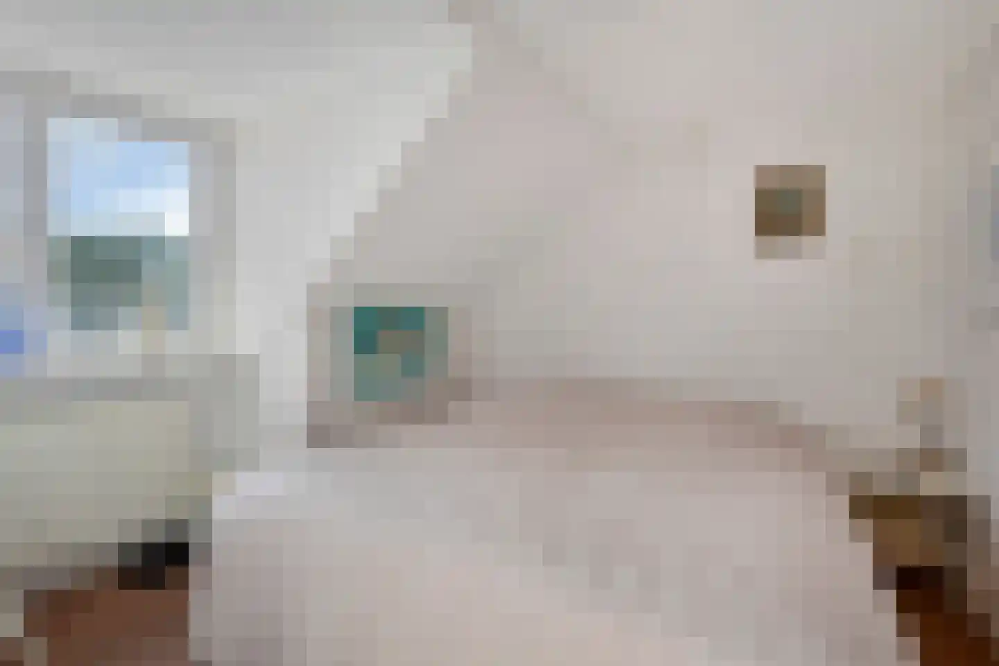 Weenderstraat 68 Vlagtwedde thumbnail 24