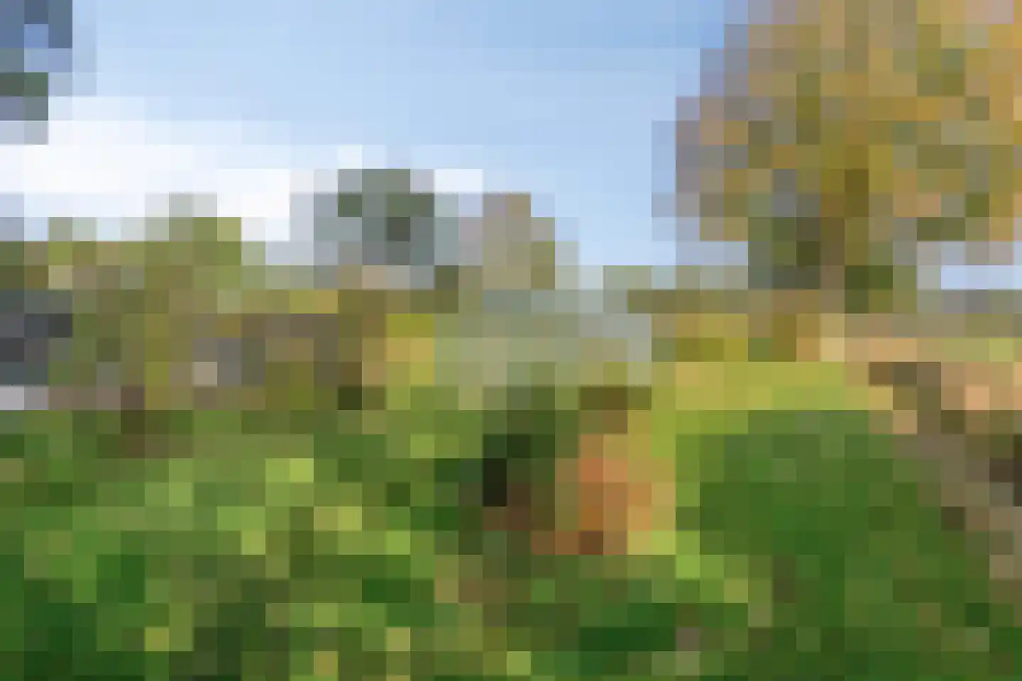 Weenderstraat 68 Vlagtwedde thumbnail 31