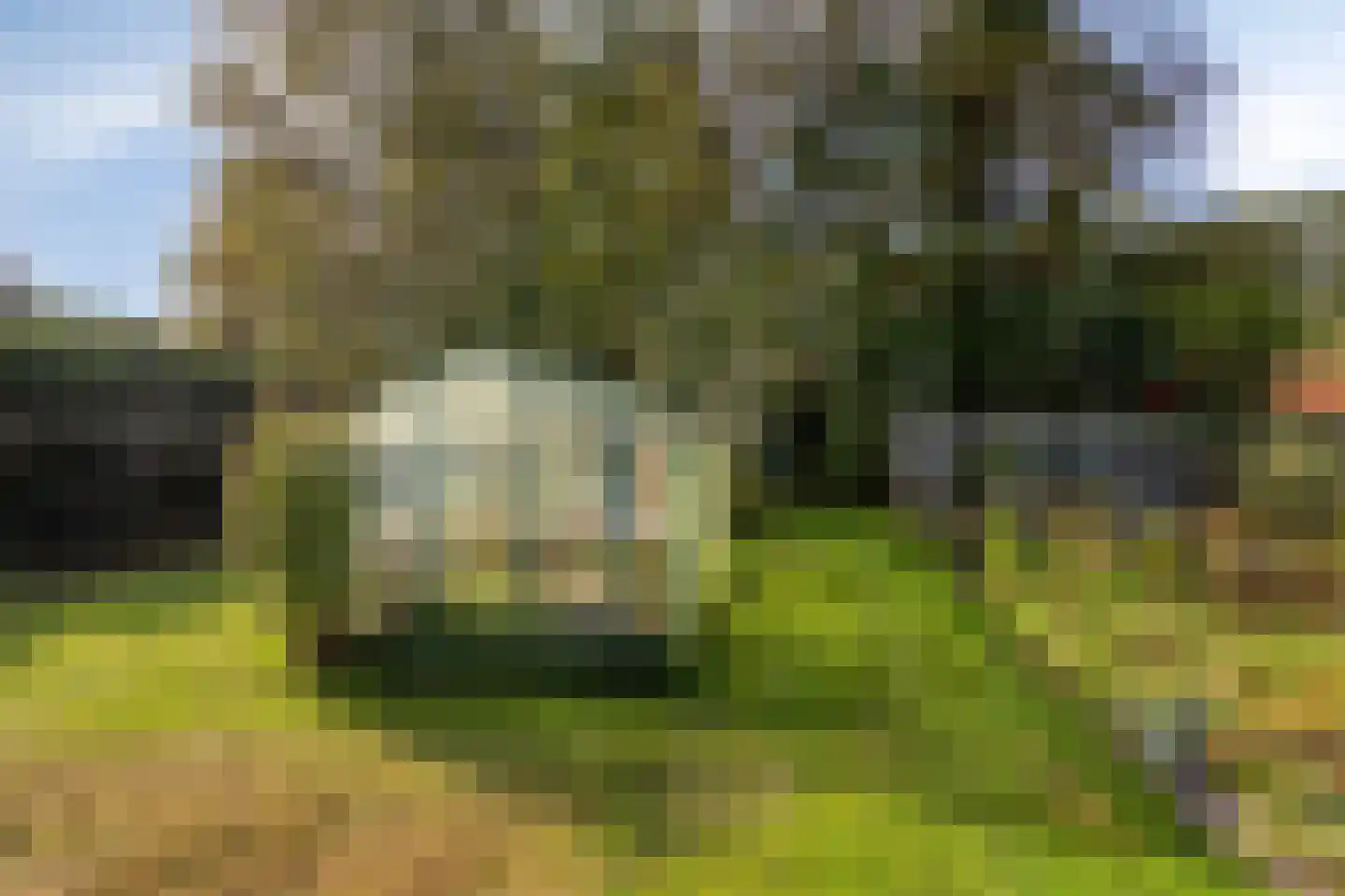 Weenderstraat 68 Vlagtwedde thumbnail 34