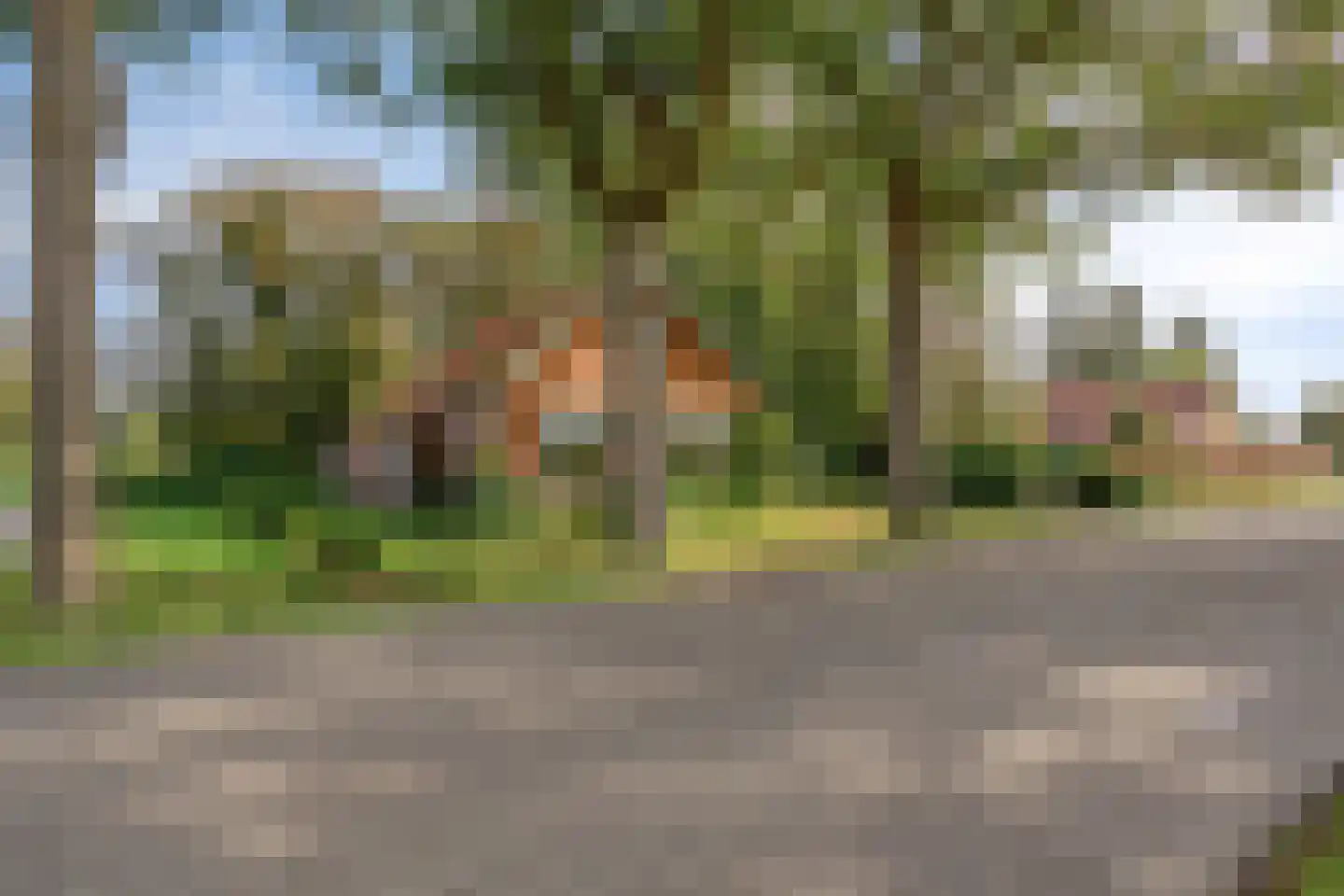 Weenderstraat 68 Vlagtwedde thumbnail 4