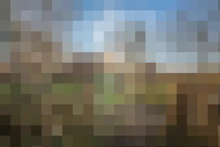 Weenderstraat 75 Vlagtwedde thumbnail 7