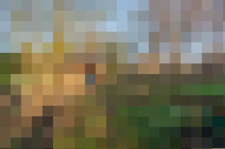 Weenderstraat 75 Vlagtwedde thumbnail 8