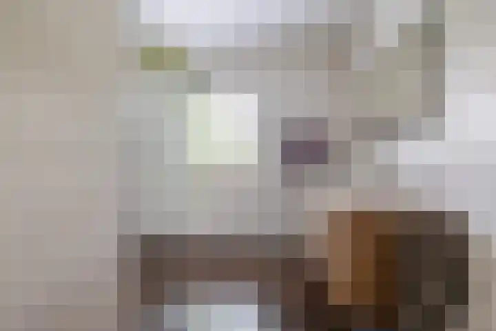 Weenderstraat 79 Vlagtwedde thumbnail 32
