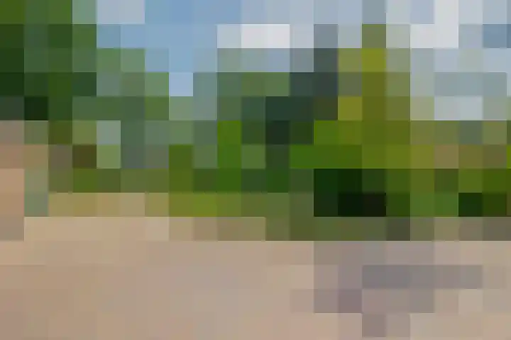 Weenderstraat 79 Vlagtwedde thumbnail 41
