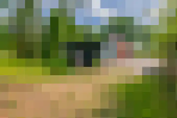 Weenderstraat 79 Vlagtwedde thumbnail 45