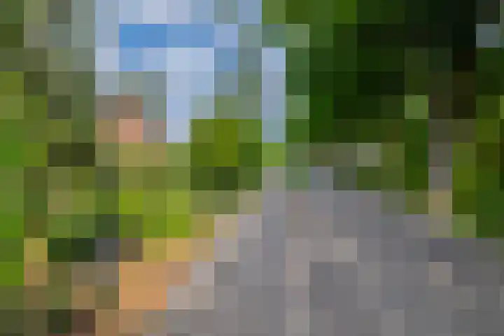 Weenderstraat 79 Vlagtwedde thumbnail 7