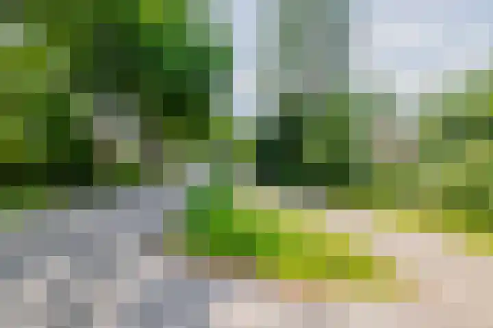 Weenderstraat 79 Vlagtwedde thumbnail 8