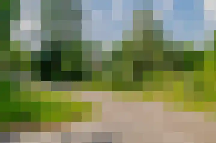 Weenderstraat 79 Vlagtwedde thumbnail 9