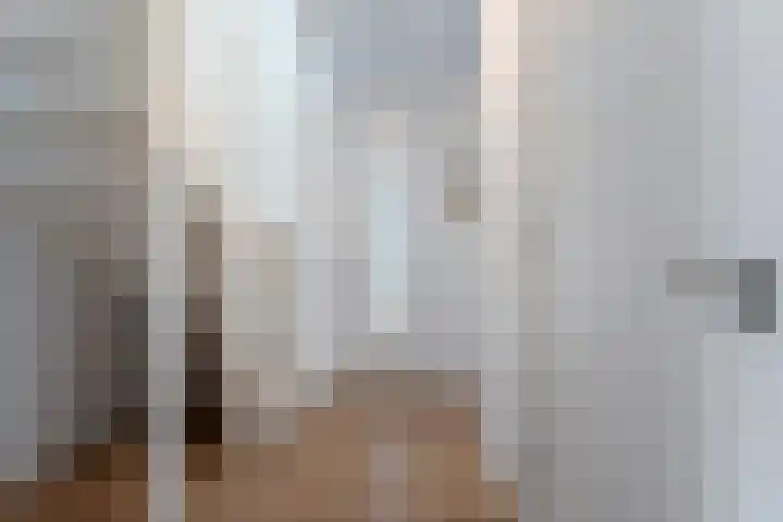 Weenerwerf 11 Dedemsvaart thumbnail 10