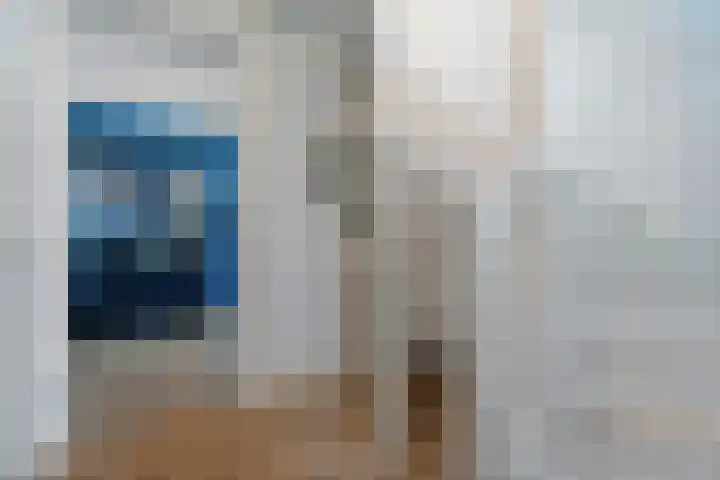 Weenerwerf 11 Dedemsvaart thumbnail 12