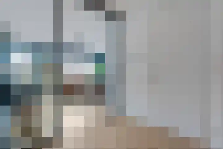 Weenerwerf 11 Dedemsvaart thumbnail 14