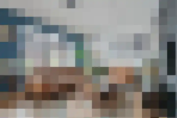 Weenerwerf 11 Dedemsvaart thumbnail 16