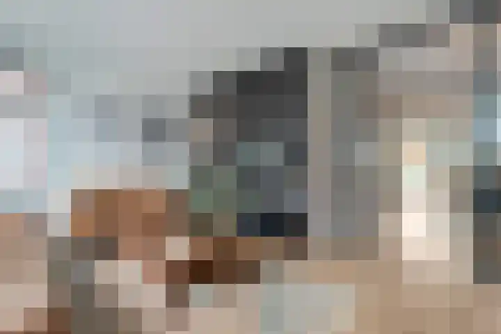 Weenerwerf 11 Dedemsvaart thumbnail 17