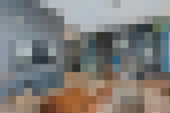 Weenerwerf 11 Dedemsvaart thumbnail 18