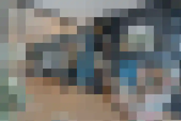 Weenerwerf 11 Dedemsvaart thumbnail 19