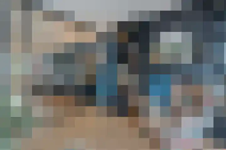 Weenerwerf 11 Dedemsvaart thumbnail 20