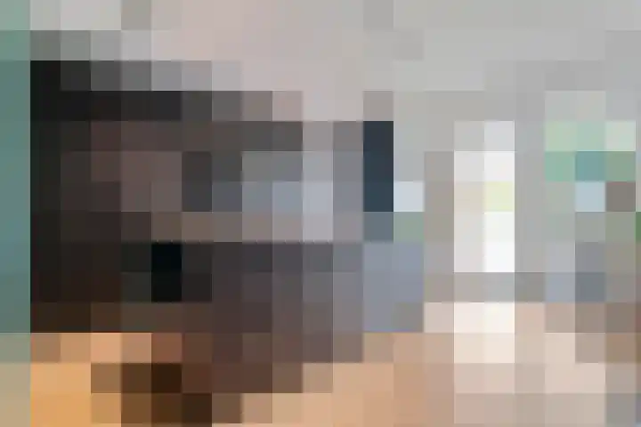 Weenerwerf 11 Dedemsvaart thumbnail 23