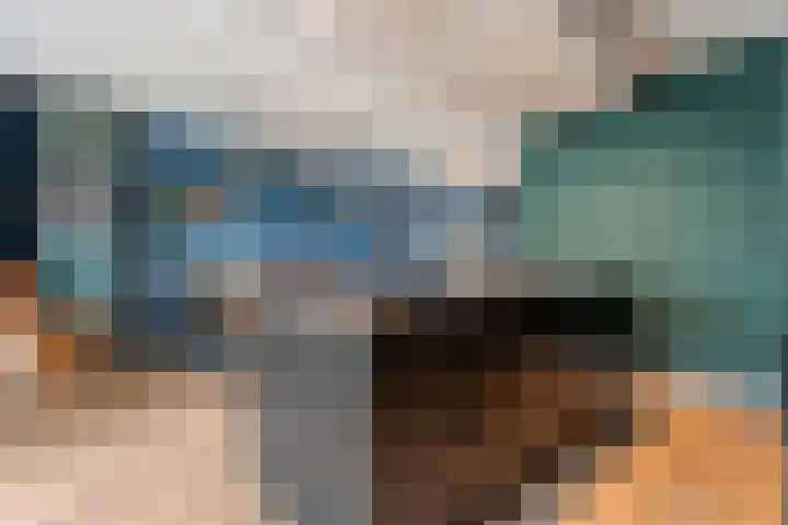 Weenerwerf 11 Dedemsvaart thumbnail 24