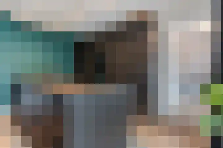 Weenerwerf 11 Dedemsvaart thumbnail 26