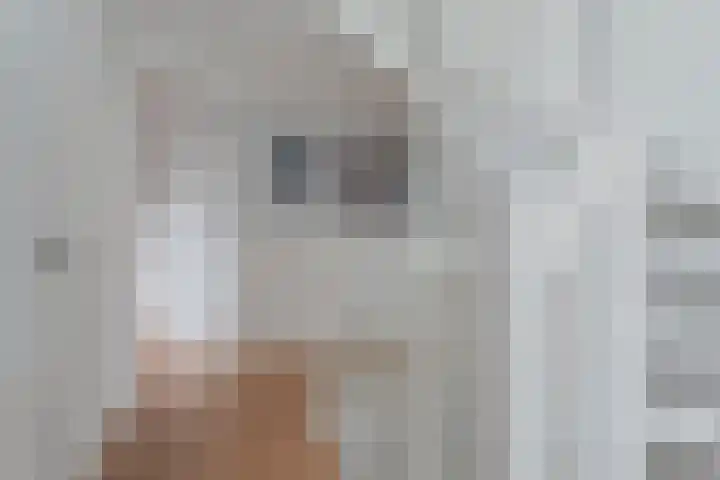 Weenerwerf 11 Dedemsvaart thumbnail 31