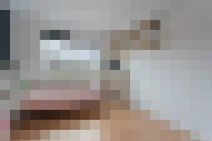 Weenerwerf 11 Dedemsvaart thumbnail 32