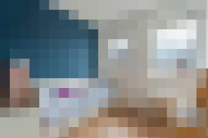 Weenerwerf 11 Dedemsvaart thumbnail 36