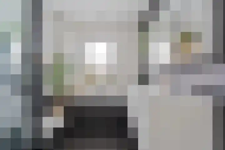 Weenerwerf 11 Dedemsvaart thumbnail 39
