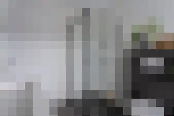 Weenerwerf 11 Dedemsvaart thumbnail 40