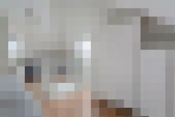 Weenerwerf 11 Dedemsvaart thumbnail 42