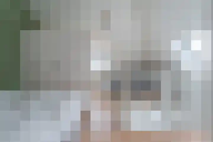 Weenerwerf 11 Dedemsvaart thumbnail 43