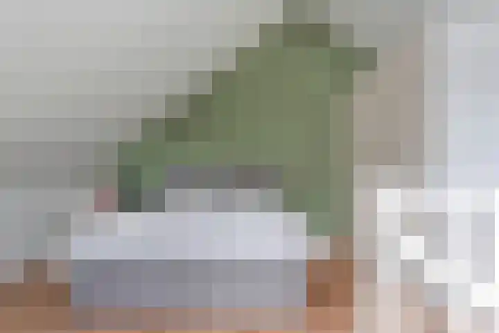 Weenerwerf 11 Dedemsvaart thumbnail 44