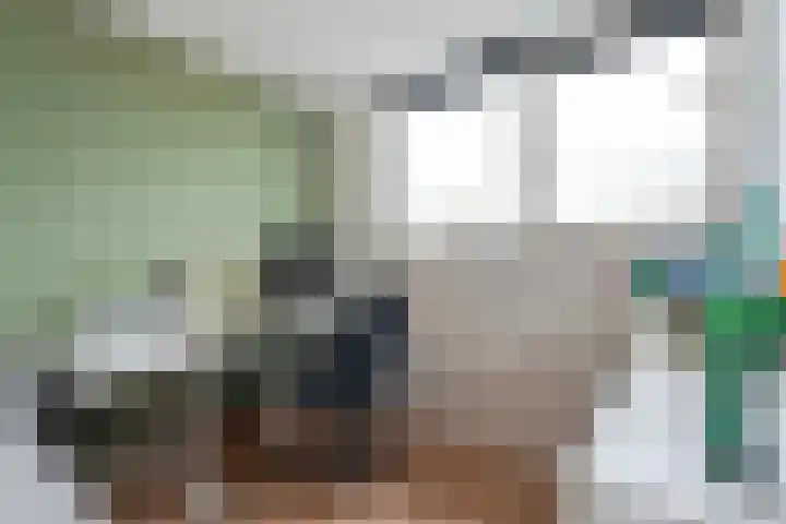 Weenerwerf 11 Dedemsvaart thumbnail 47