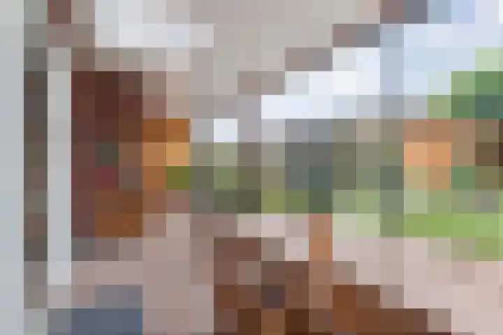 Weenerwerf 11 Dedemsvaart thumbnail 48