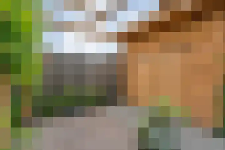 Weenerwerf 11 Dedemsvaart thumbnail 51