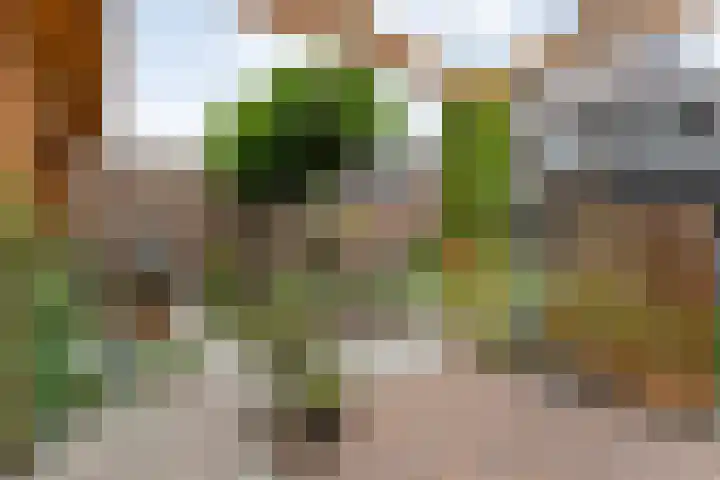 Weenerwerf 11 Dedemsvaart thumbnail 52