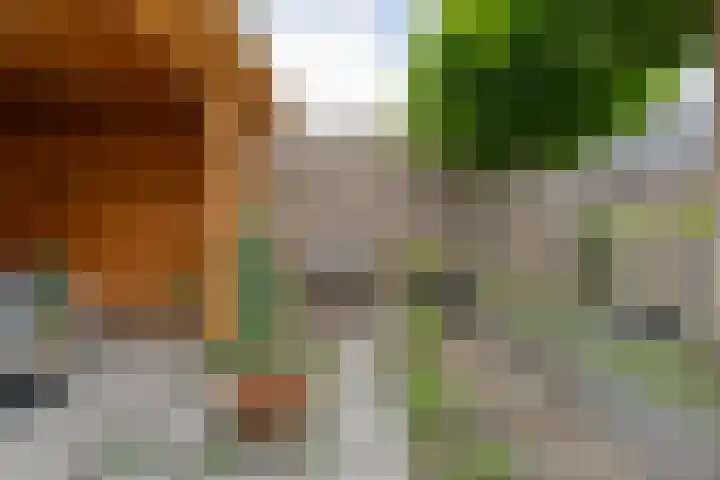 Weenerwerf 11 Dedemsvaart thumbnail 53