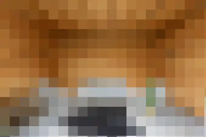 Weenerwerf 11 Dedemsvaart thumbnail 54