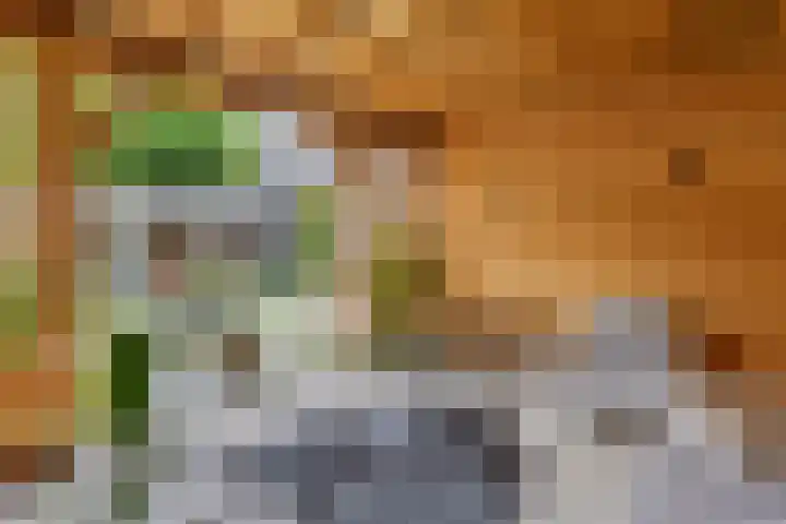 Weenerwerf 11 Dedemsvaart thumbnail 55