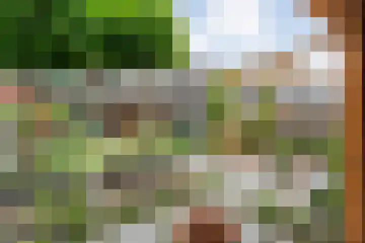 Weenerwerf 11 Dedemsvaart thumbnail 56
