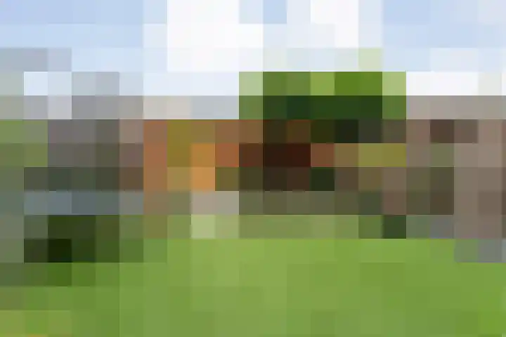 Weenerwerf 11 Dedemsvaart thumbnail 57