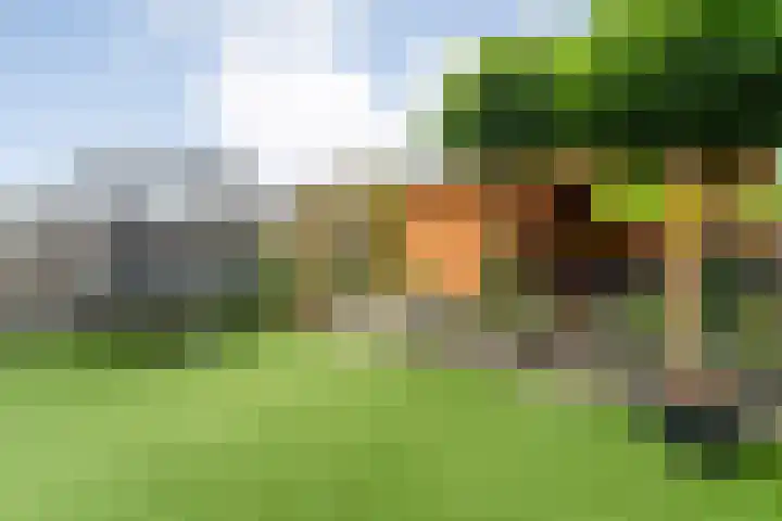 Weenerwerf 11 Dedemsvaart thumbnail 58