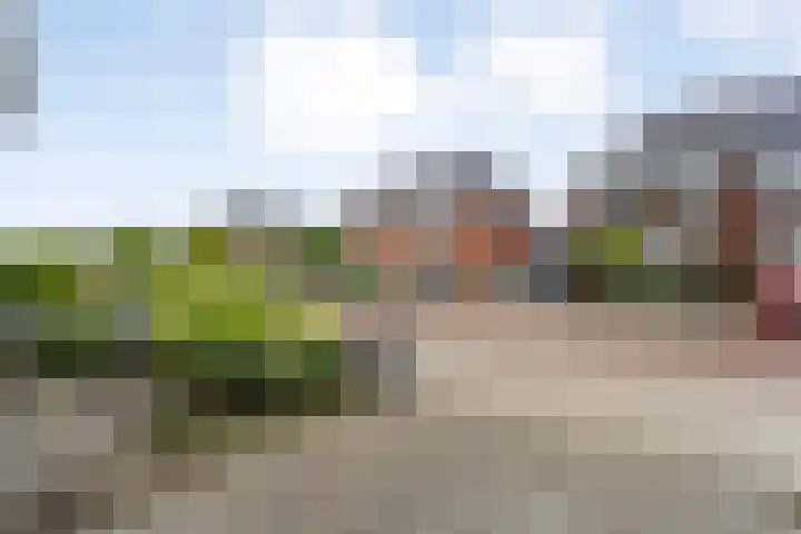 Weenerwerf 11 Dedemsvaart thumbnail 6