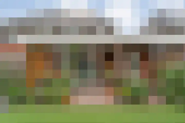 Weenerwerf 11 Dedemsvaart thumbnail 60