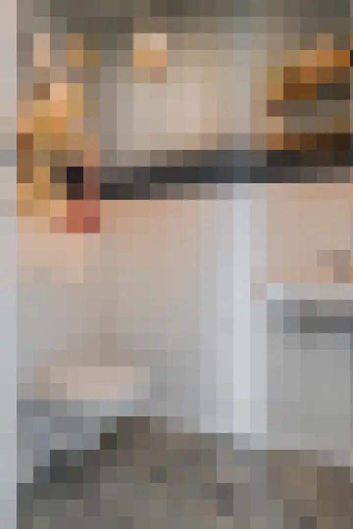 Weenerwerf 11 Dedemsvaart thumbnail 62