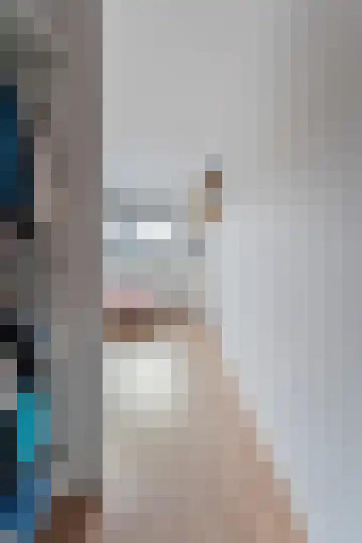 Weenerwerf 11 Dedemsvaart thumbnail 63